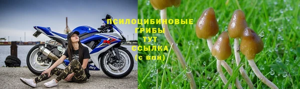 гашишное масло Армянск