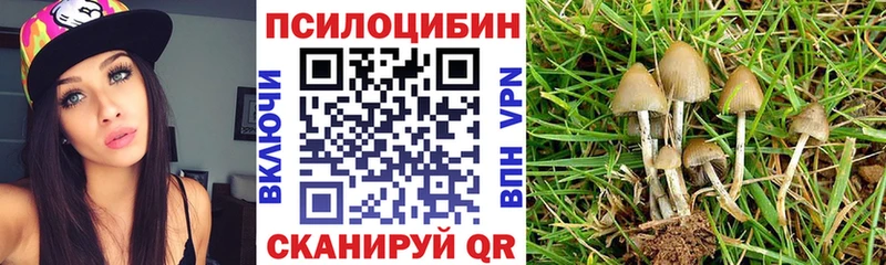 гидра ссылки  Михайловка  Галлюциногенные грибы прущие грибы 