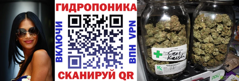 shop состав  где можно купить наркотик  Михайловка  МАРИХУАНА Amnesia 